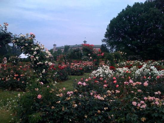 Hershey Gardens-好时镇必去景点