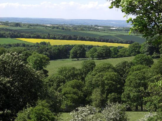 Hardwick Hall and Gardens景点图片