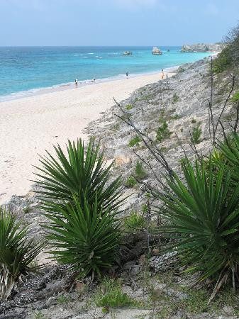 Horseshoe Bay Beach-南安普敦必去景点