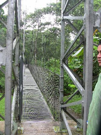 Arenal Hanging Bridges景点图片