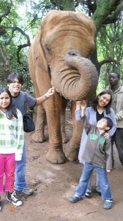 The Elephant Sanctuary-雾观必去景点