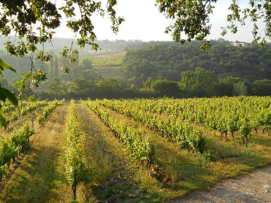 French Wine Adventures景点图片