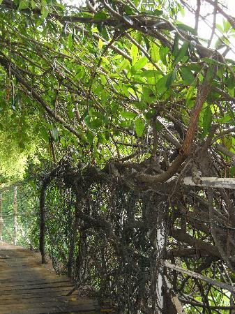 毛伊岛热带花园-怀露库必去景点