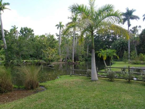 Sarasota Jungle Gardens-萨拉索塔必去景点
