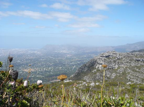 Ridgway Ramblers-开普敦中心区必去景点