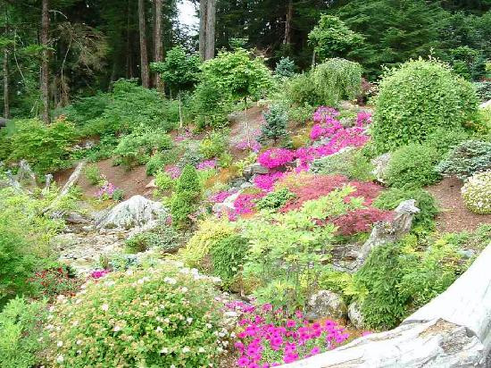 Glacier Gardens Rainforest Adventure-朱诺必去景点