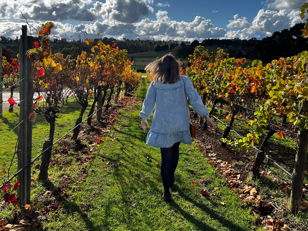 Trail Hopper-阿德莱德必去景点