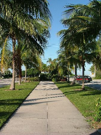 St. Armands Circle-萨拉索塔必去景点