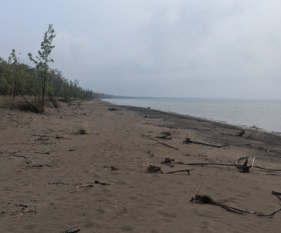 Rondeau Provincial Park景点图片