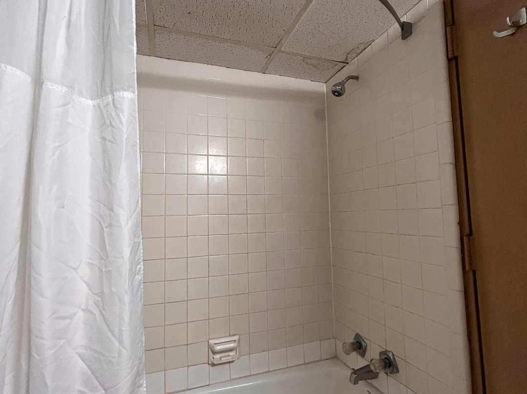 Super 8 by Wyndham Adel主图