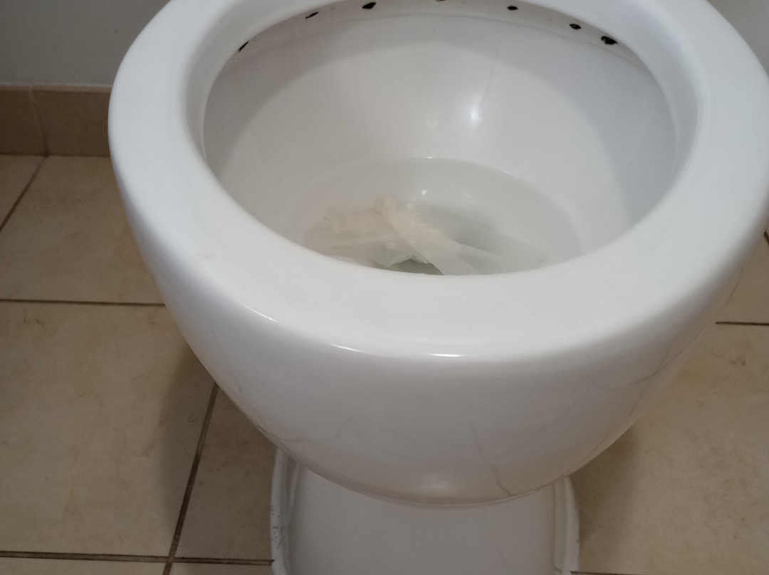 Country Inn & Suites by Radisson, Albany, GA主图