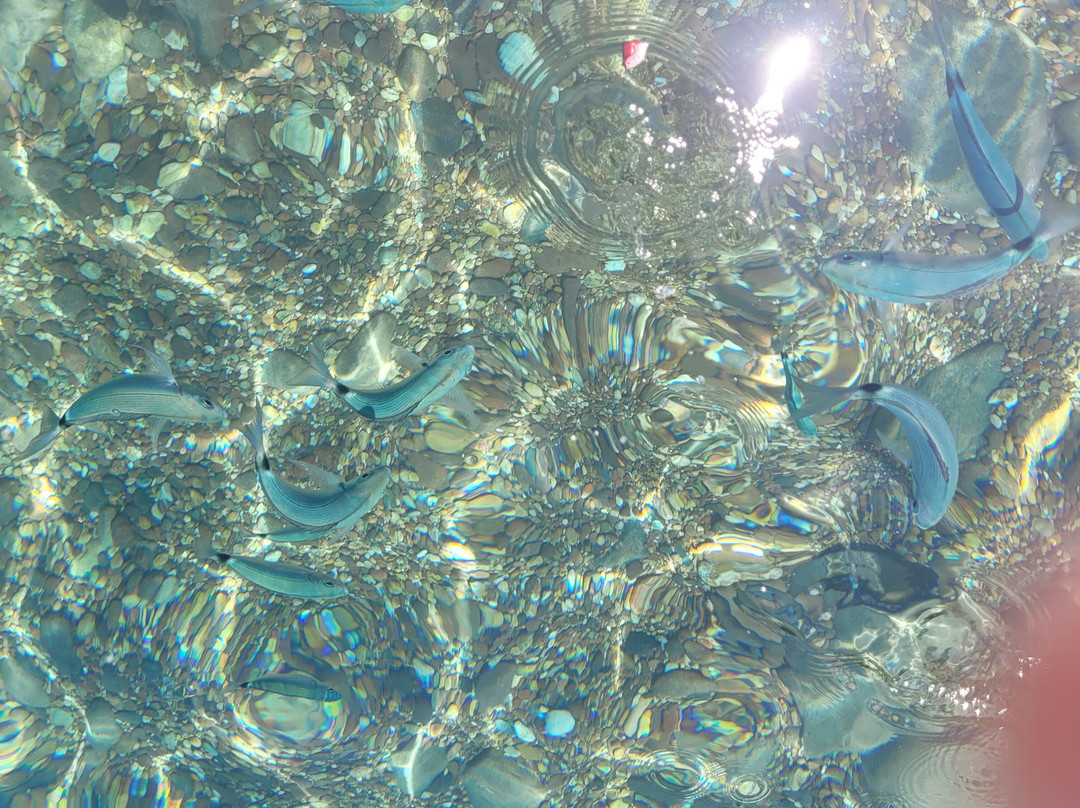 Scandola Marine-Galeria必去景点