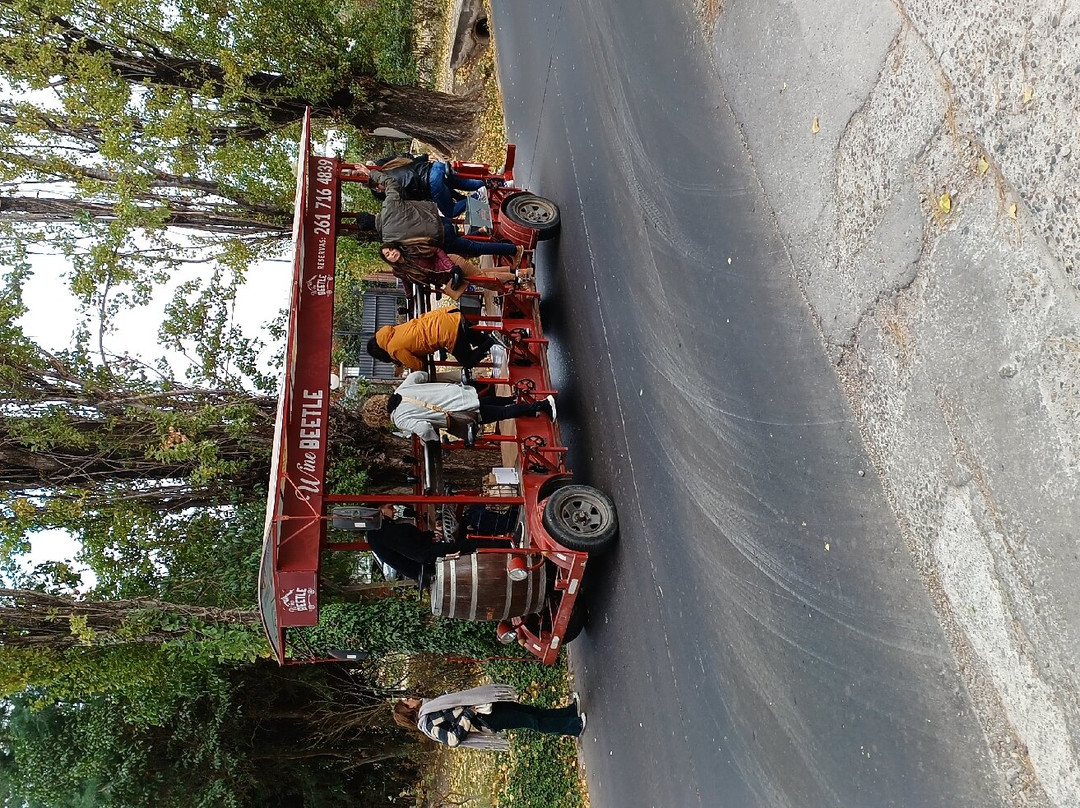 WineBeetle-Coquimbito必去景点