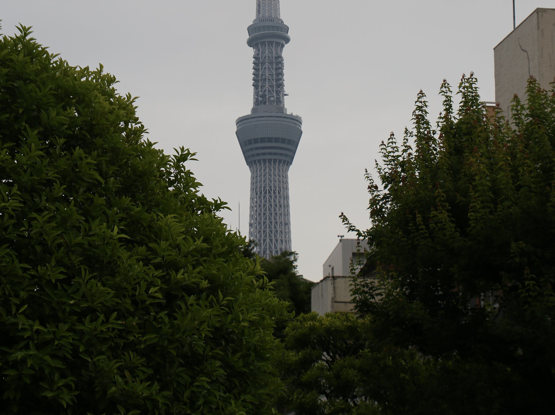 Five-Storied Pagoda景点图片
