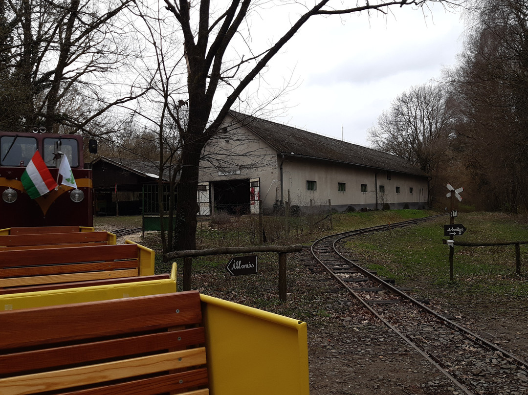 Gödöllő Forest Railway景点图片