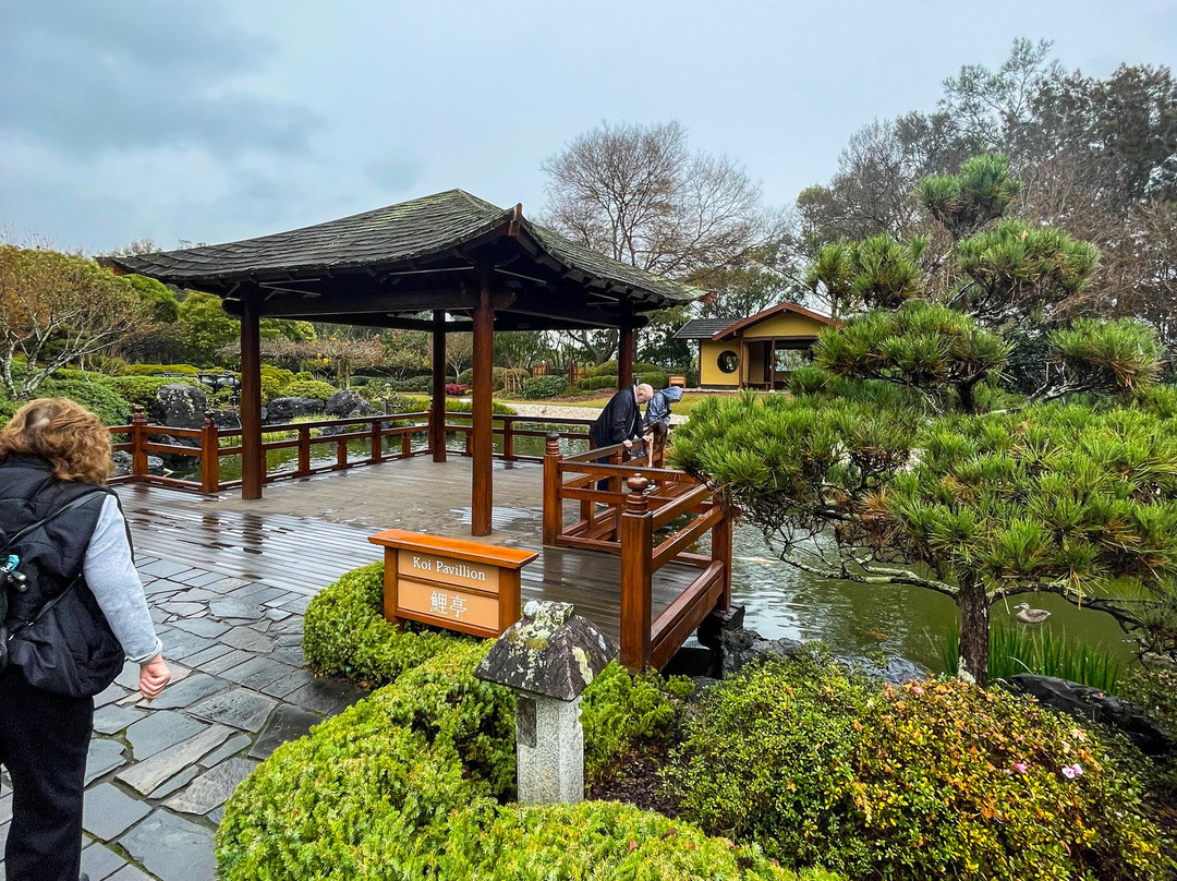 Gosford Regional Gallery景点图片