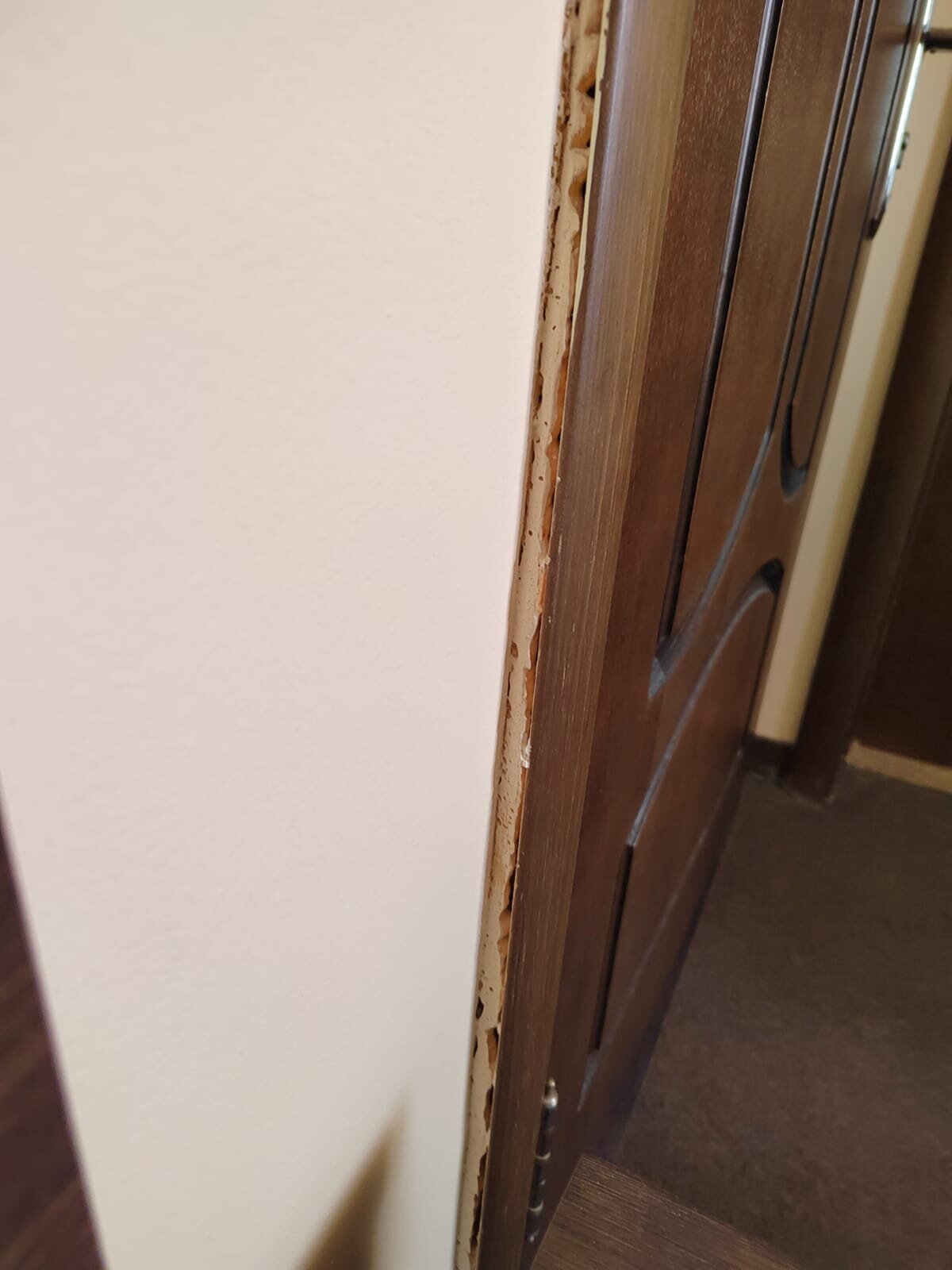 Democratia Hotel-客卧