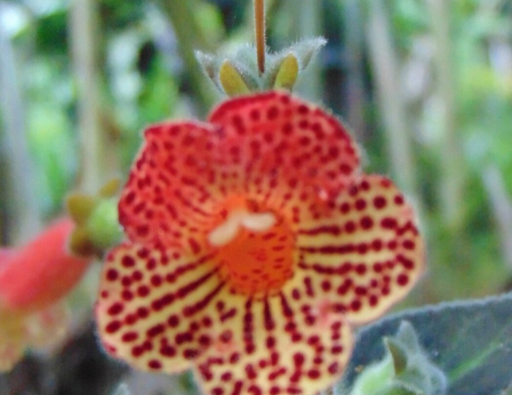 Albergue Frau Maria Egg主图