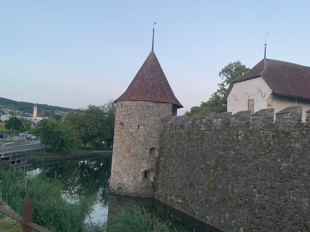 Schloss Hallwyl-Seengen必去景点