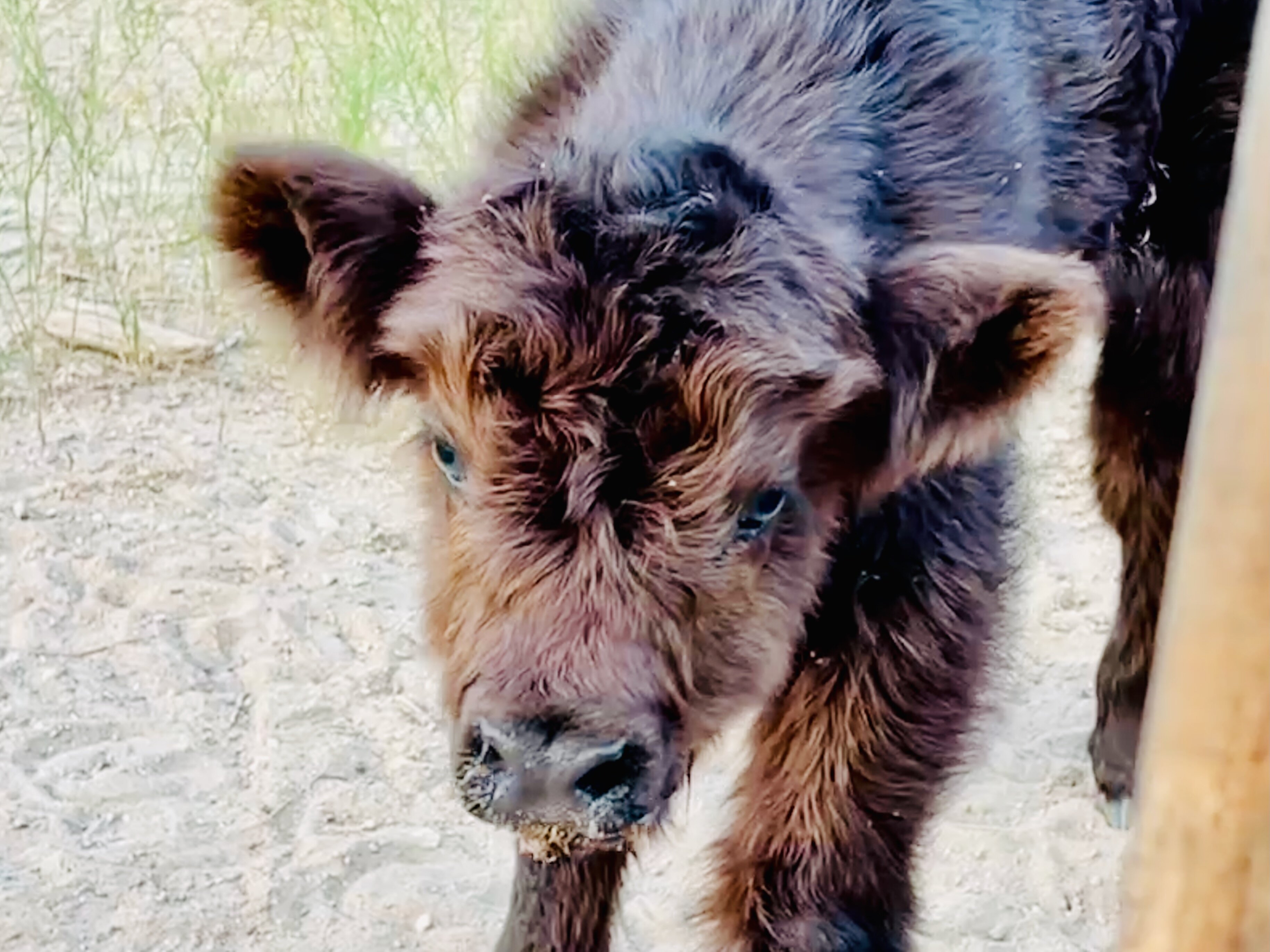 Missing Hotel-官方