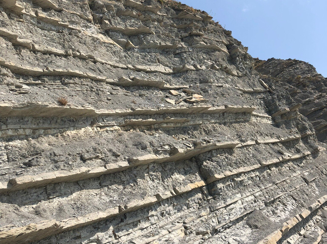 Staircase 800 Stairs-Su-Psekh必去景点