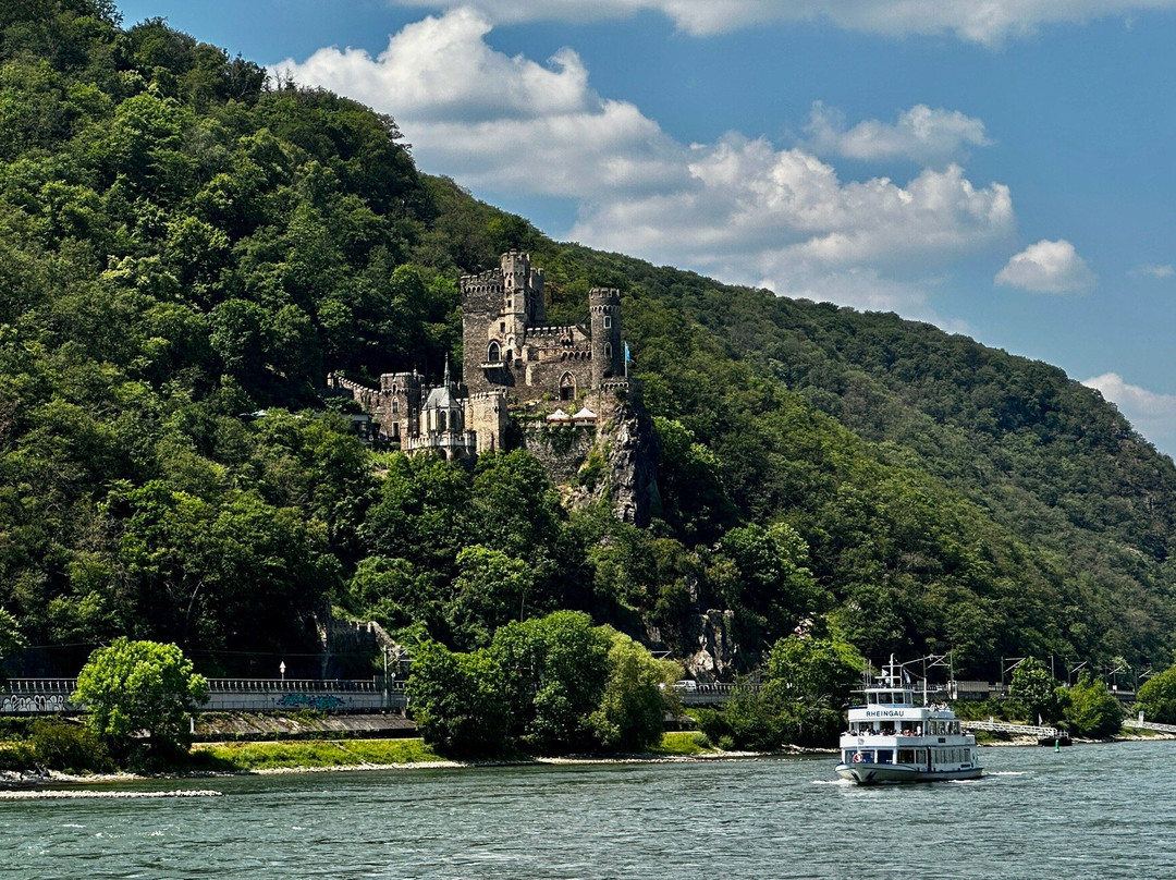 European Castles Tours景点图片