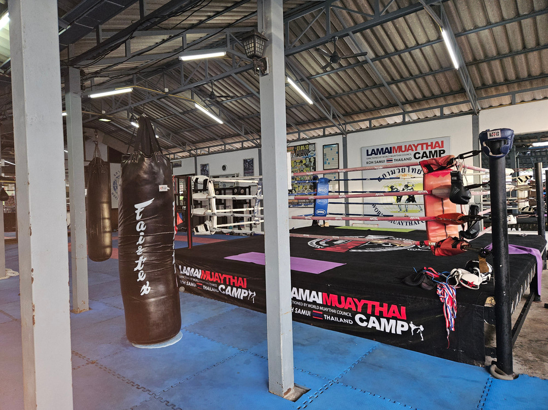 Lamai Muay Thai Camp景点图片