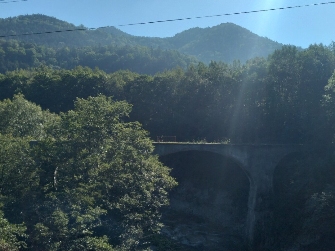 Former National Railway Shihoro Line 5th Otofuke River Bridge景点图片