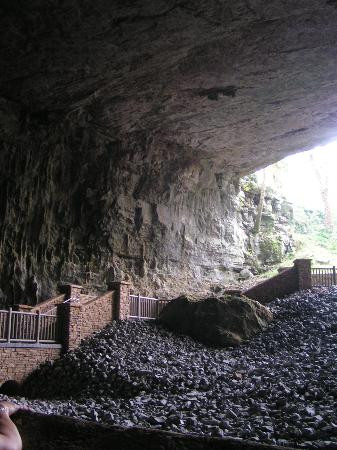 Cathedral Caverns State Park景点图片