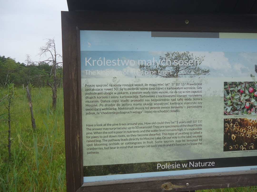 Poleski Park Narodowy景点图片