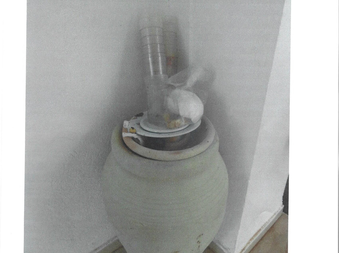 Club Palm Azur Families and Couples主图