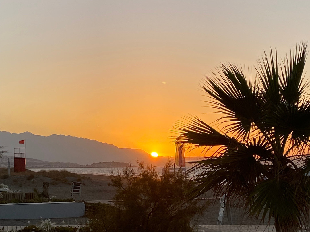 Minos Mare Royal主图