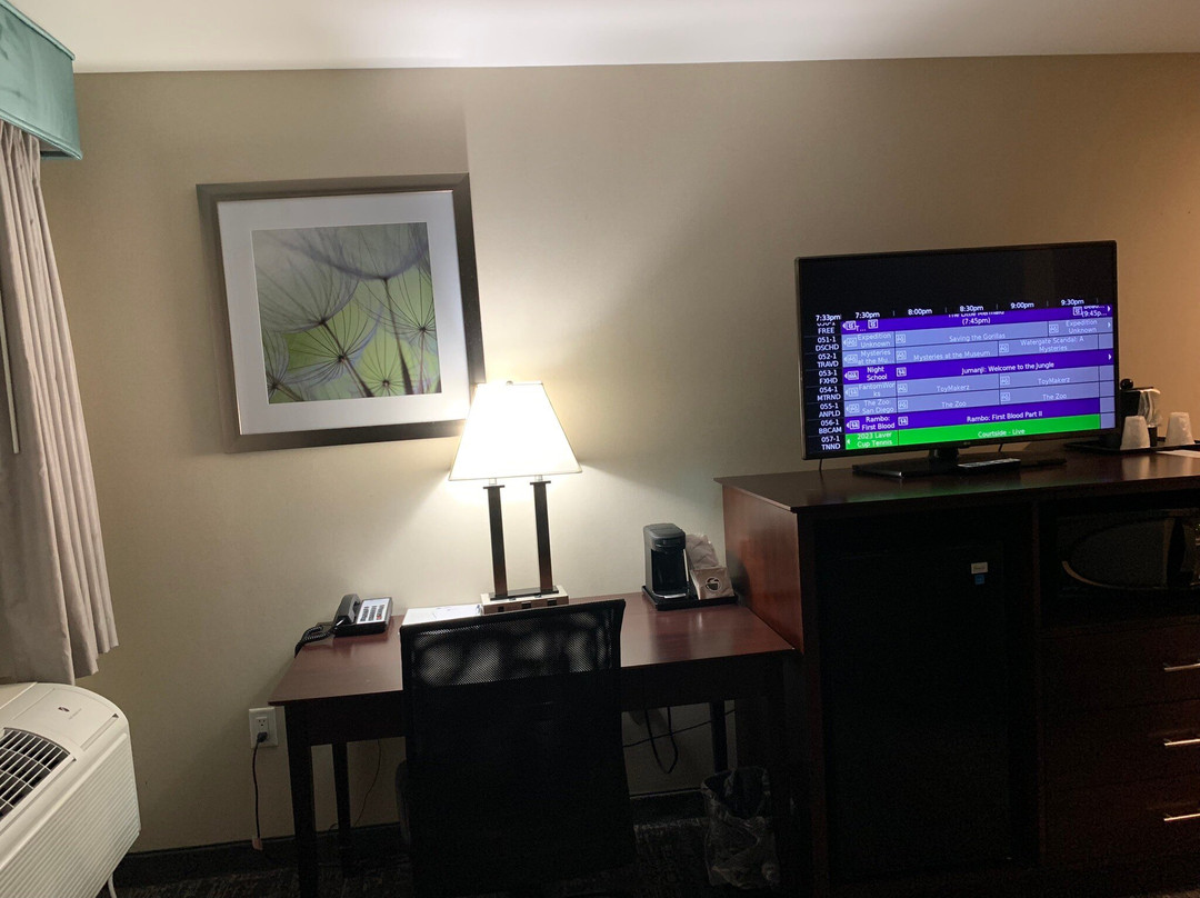 Best Western Hampshire Inn & Suites主图