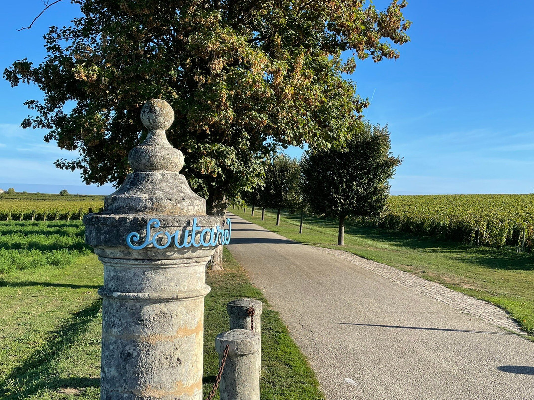 Château Soutard景点图片