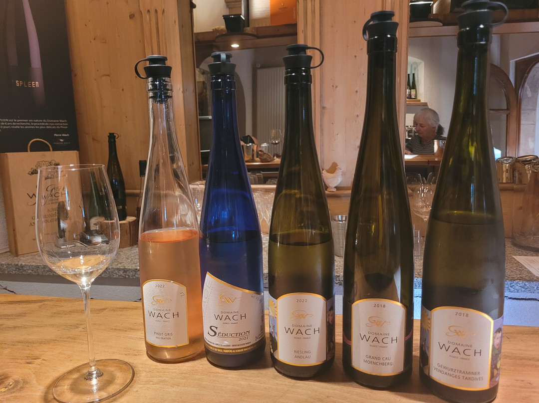 Domaine Wach景点图片