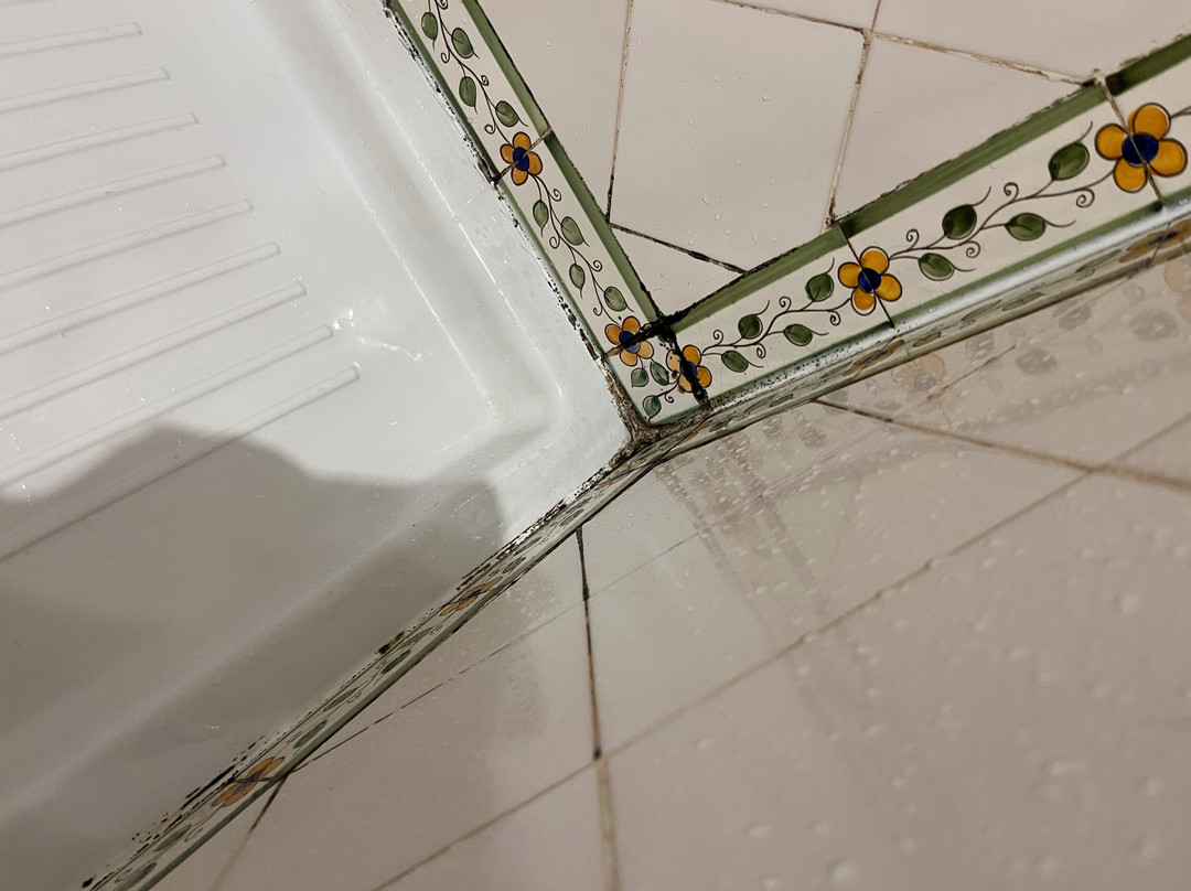 The Manor House Celeirós主图