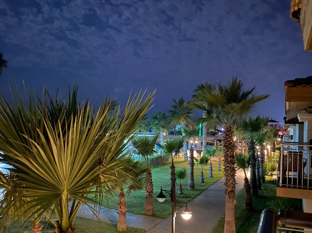 Crystal Boutique主图