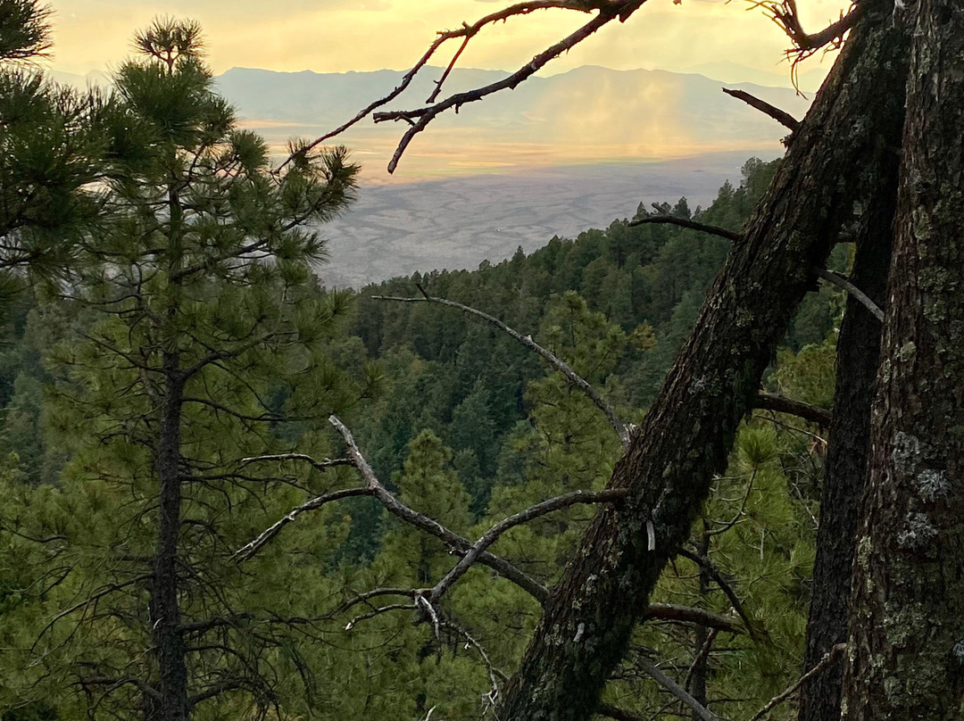 Mount Safford Ladybug Peak Trail-Safford必去景点