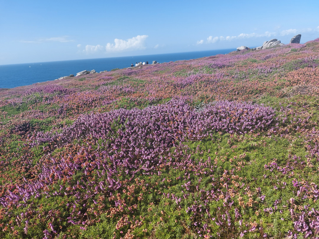 Pointe du Van-Cleden-Cap-Sizun必去景点