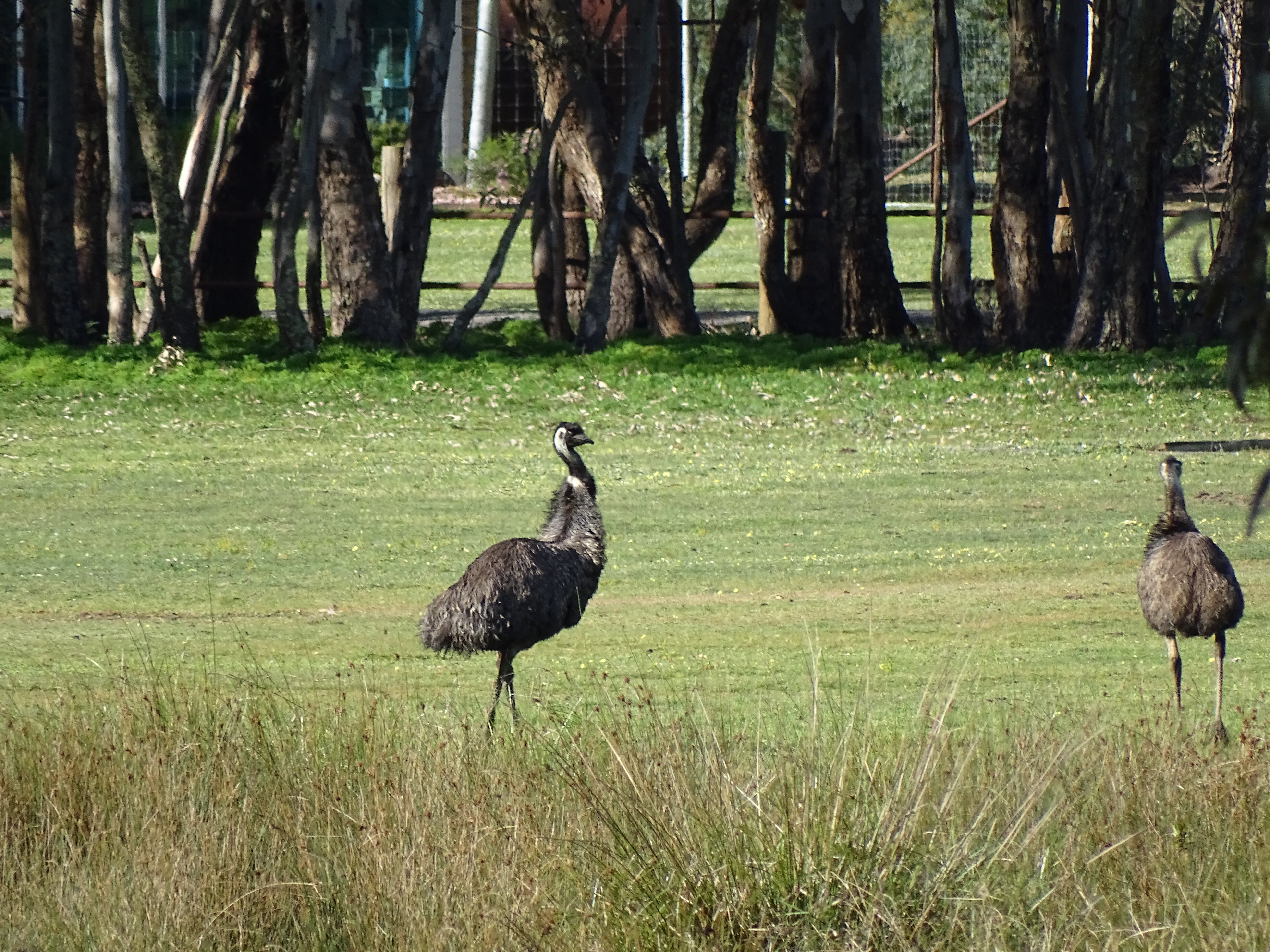 Halls Gap Motel-浴室