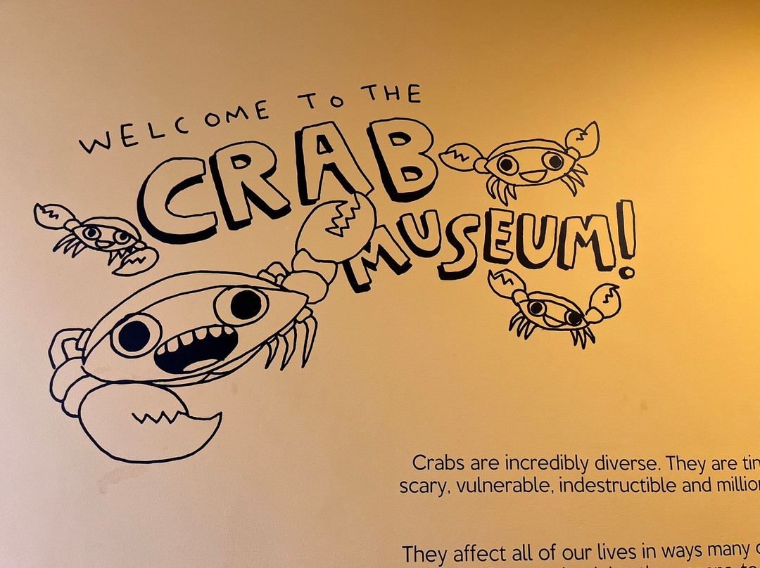 Crab Museum景点图片