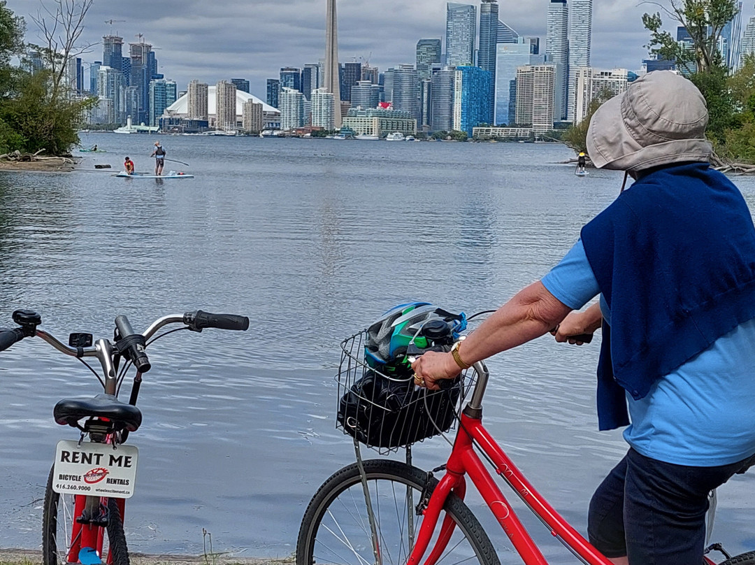 Wheel Excitement Inc-多伦多必去景点