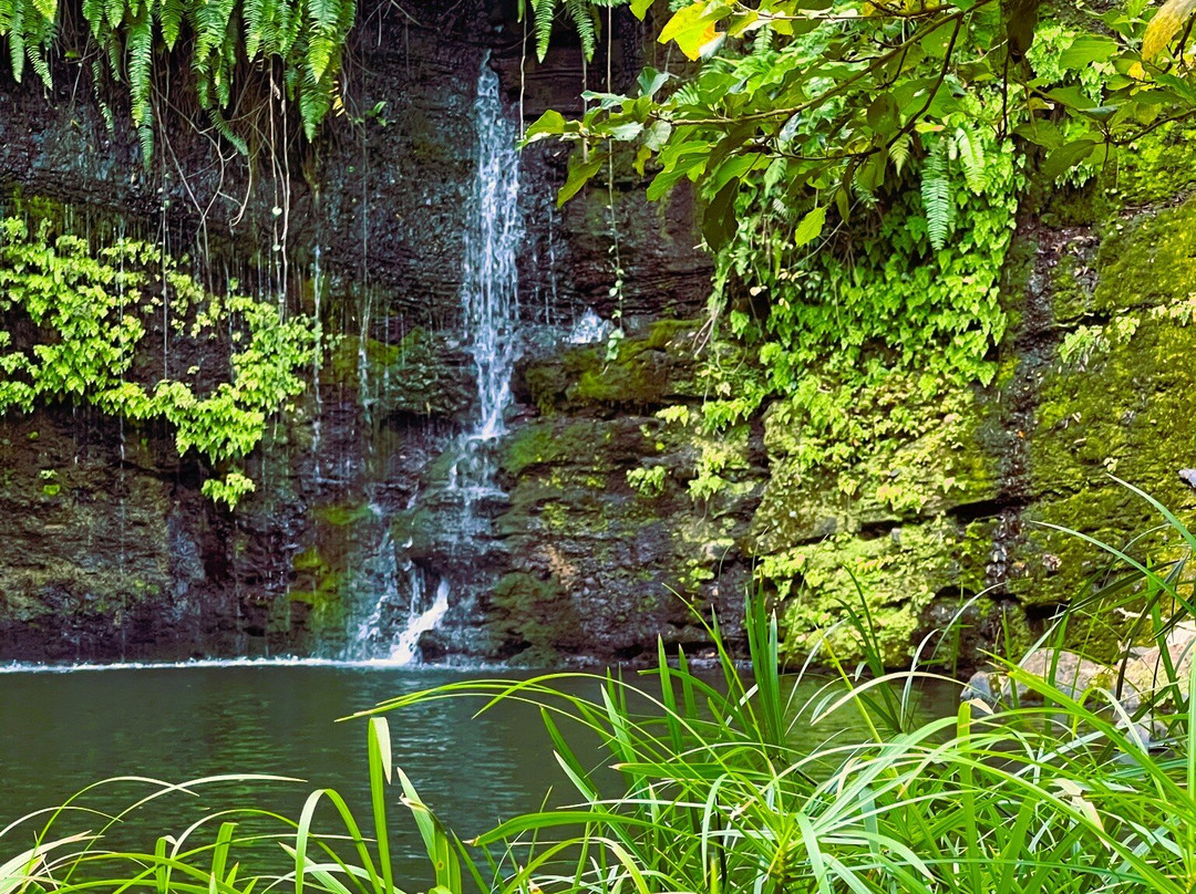 Cascade De Nosy Be景点图片