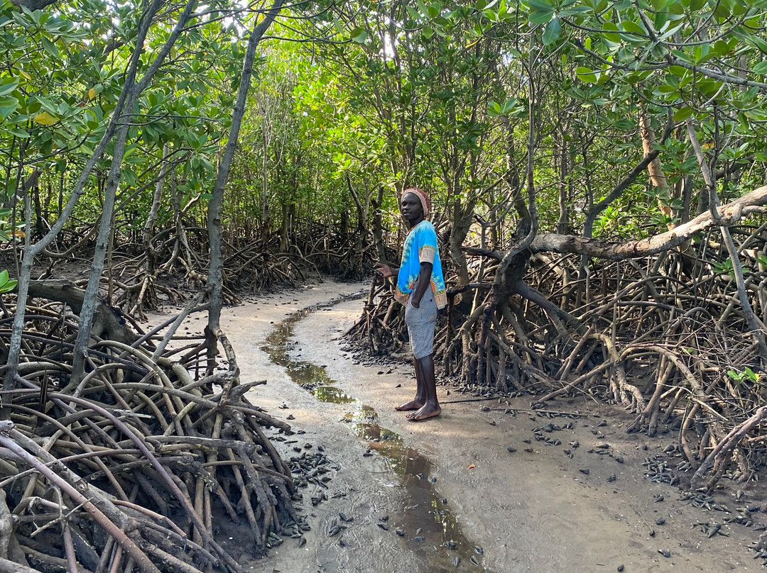 In Kenya con Katana-瓦塔木必去景点