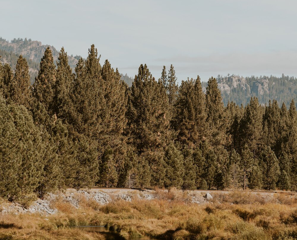 Chalet View Lodge主图