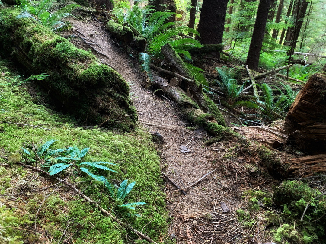 Dempsey Collinson Memorial Trail-Daajing Giids必去景点