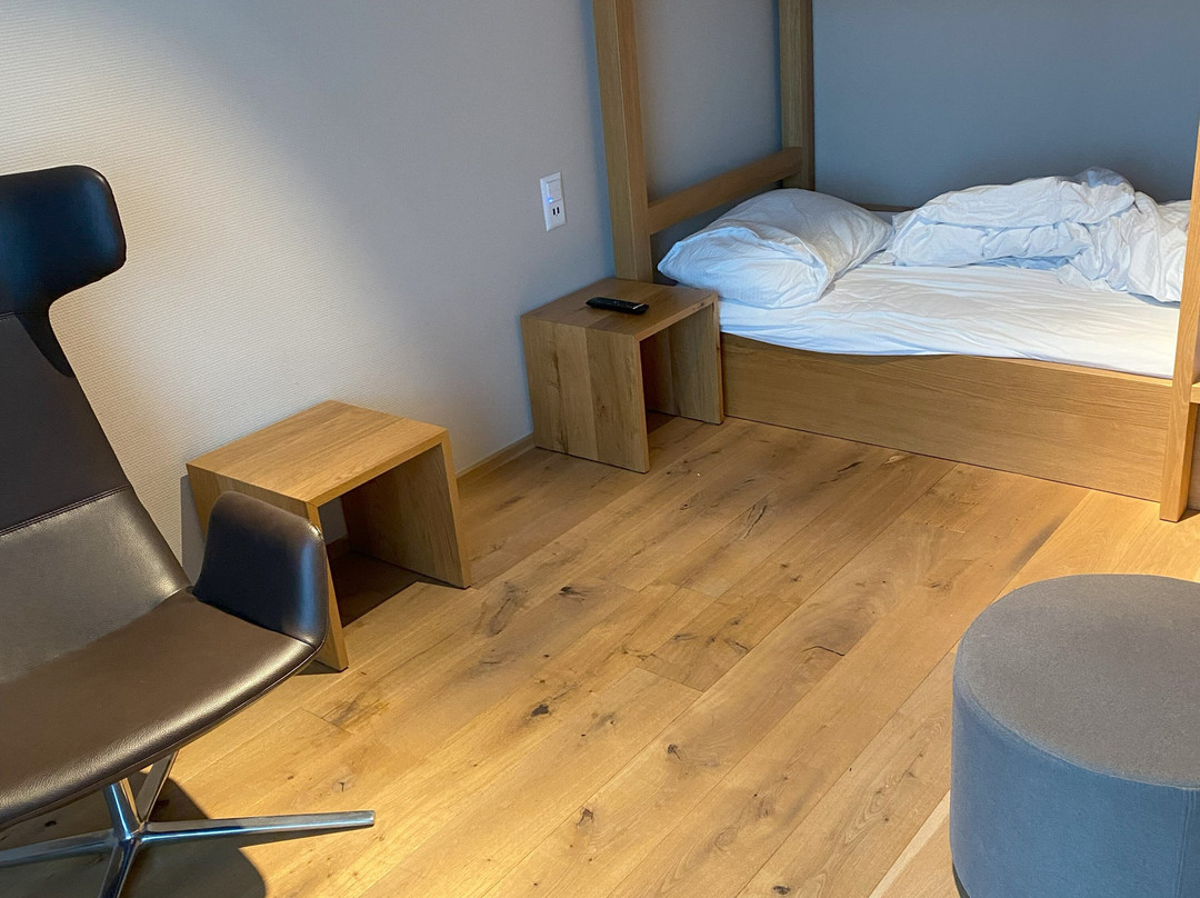 Hotel Allegra Lodge主图
