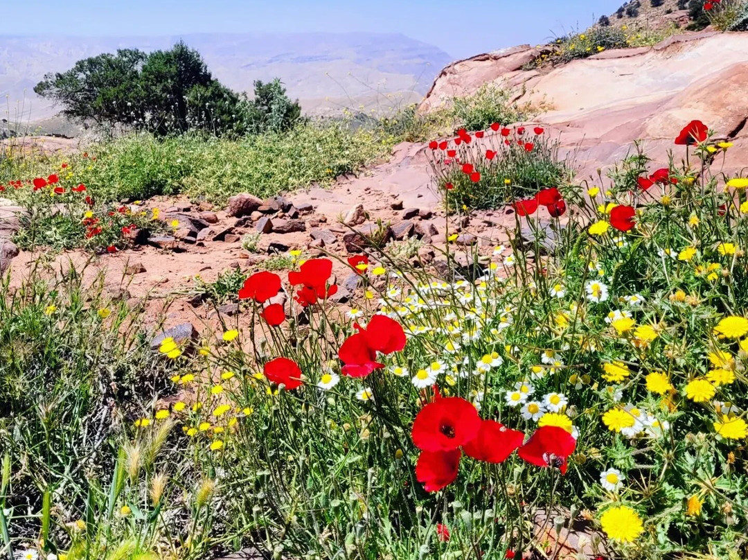 Dana to Petra guide-Dana必去景点