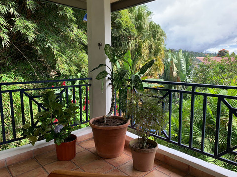 Isla Verde Hotel主图