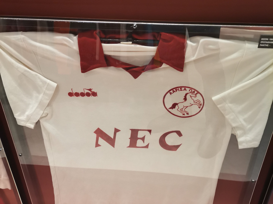 Vasilisa - Visini Idiotiko Mousio-Larissa必去景点